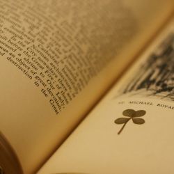 英美文學(xué) 傳統(tǒng)與創(chuàng)新的交匯